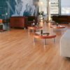 Best Laminate Flooring for Living Room