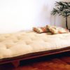 Solid Wood Futon Sofa Bed