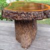 Solid Tree Round Trunk Coffee Table