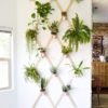 Floating Plant Wall