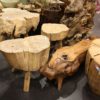 Wood Stump Coffee Table Designs