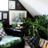 We all want to create cozy reading nook with plants in our houses to have a rest there with a book.